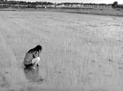 杨家镇8村民田间劳作